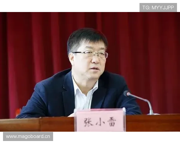 黄梅企业家:创新驱动发展引领地方经济腾飞的实践与思考